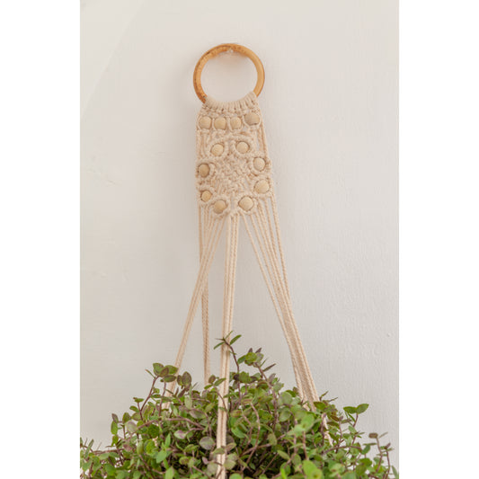 flora plant hanger