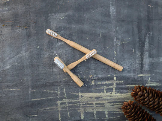 refillable bamboo toothbrush + 2 refills