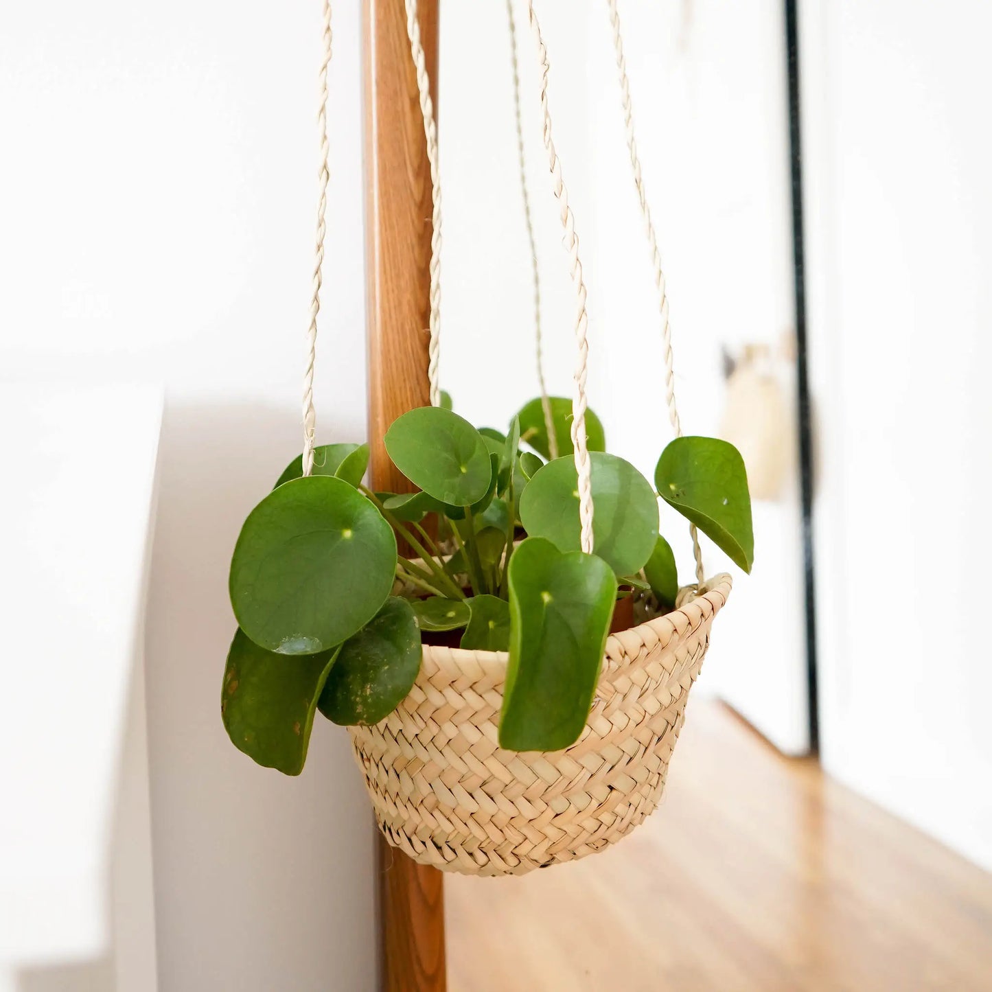 straw planter basket